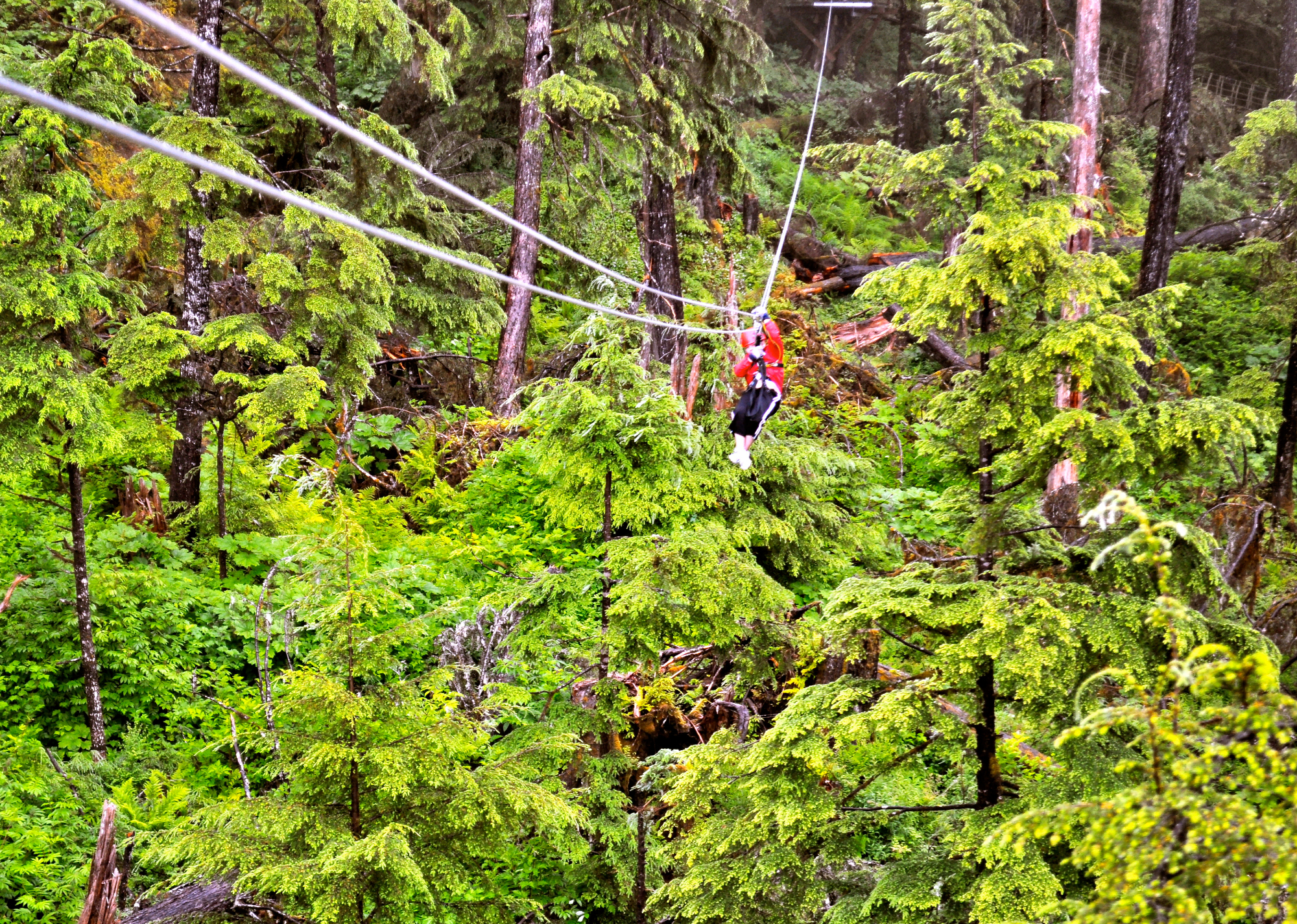 Adrenalinska vožnja in zipline